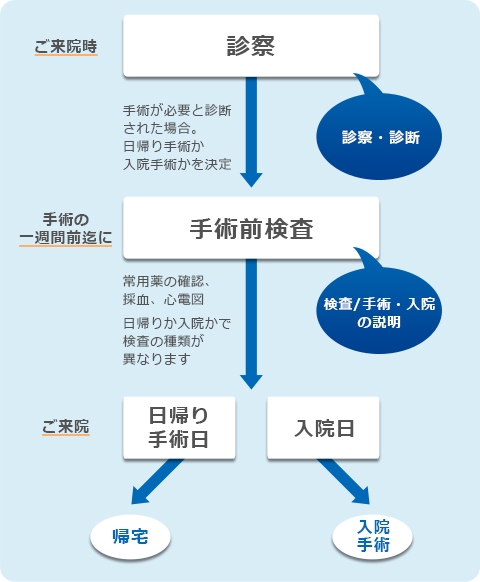 施術までのスケジュール