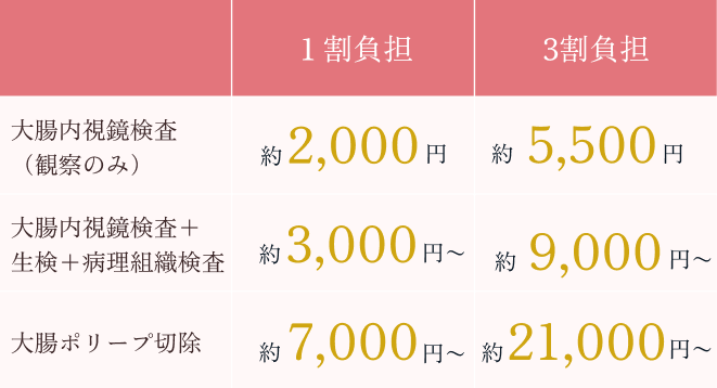 当院の大腸内視鏡検査の費用の表