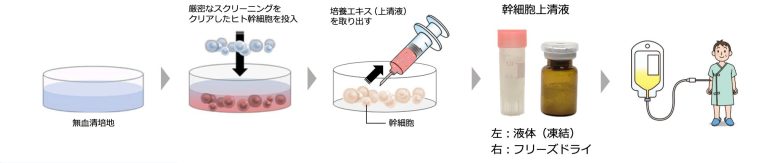 幹細胞培養上清液について